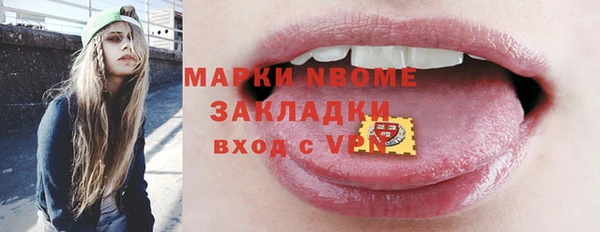 спайс Гусь-Хрустальный