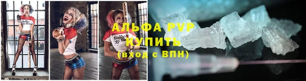 спайс Гусь-Хрустальный