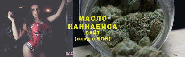 спайс Гусь-Хрустальный