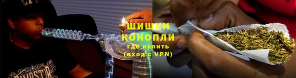 мяу мяу мука Гусиноозёрск