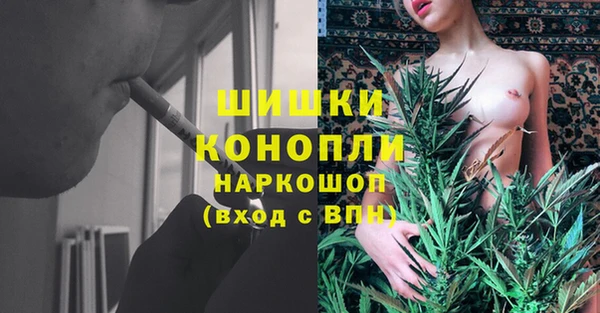 мяу мяу мука Гусиноозёрск