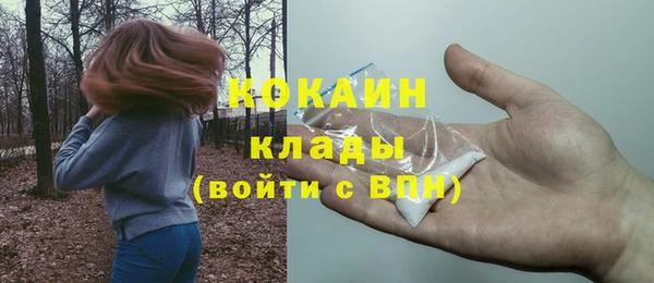 спайс Гусь-Хрустальный